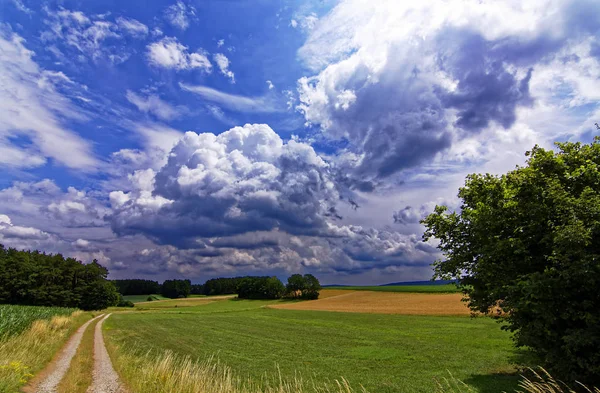 Красивое Небо Облаками Над Полем Возле Леса — стоковое фото