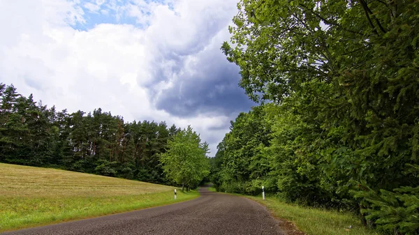 Krásná Obloha Mraky Nad Polem Nedaleko Lesa — Stock fotografie