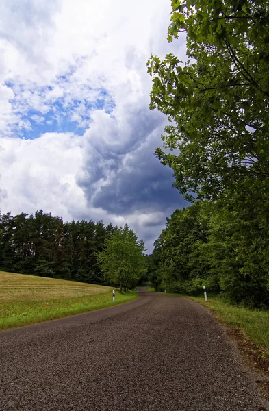 Prachtige Hemel Met Wolken Het Veld Buurt Van Het Bos — Stockfoto