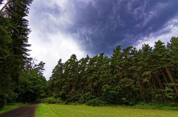 Krásná Obloha Mraky Nad Polem Nedaleko Lesa — Stock fotografie