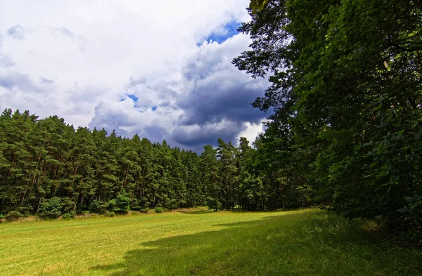 Vacker Himmel Med Moln Över Fältet Nära Skogen — Stockfoto