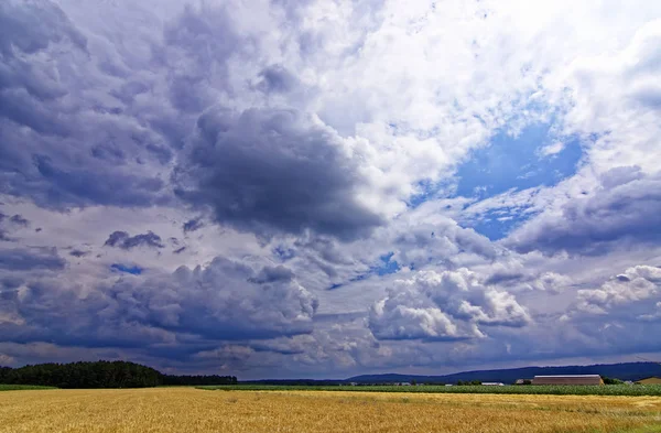 Hermoso Cielo Con Nubes Sobre Campo Cerca Del Bosque — Foto de Stock