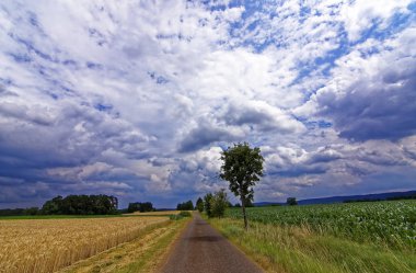 ormana yakın alan üzerinde bulutlar ile güzel gökyüzü