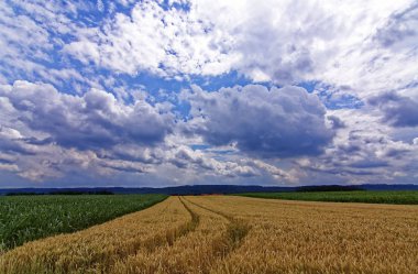 ormana yakın alan üzerinde bulutlar ile güzel gökyüzü