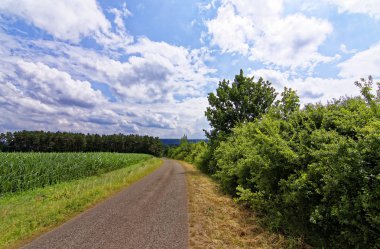 ormana yakın alan üzerinde bulutlar ile güzel gökyüzü 
