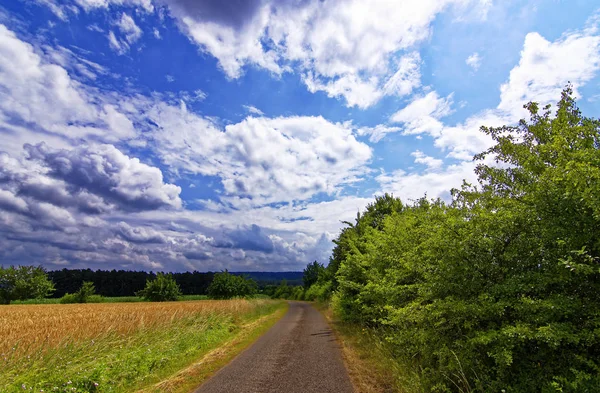 Krásná Obloha Mraky Nad Polem Nedaleko Lesa — Stock fotografie