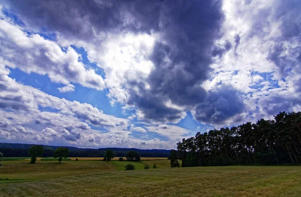 Красиве Небо Хмарами Над Полем Біля Лісу — стокове фото