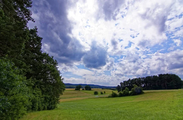 Красивое Небо Облаками Над Полем Возле Леса — стоковое фото