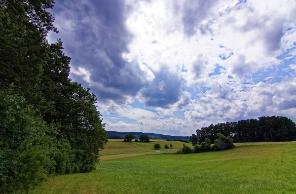 Hermoso Cielo Con Nubes Sobre Campo Cerca Del Bosque —  Fotos de Stock