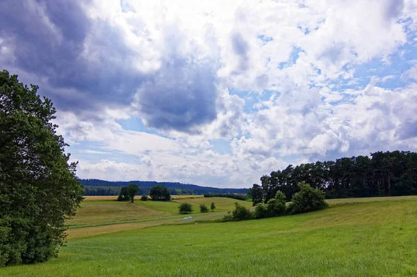 Krásná Obloha Mraky Nad Polem Nedaleko Lesa — Stock fotografie