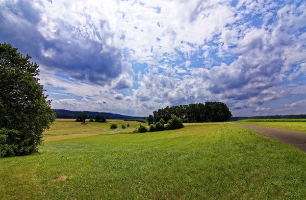 Prachtige Hemel Met Wolken Het Veld Buurt Van Het Bos — Stockfoto