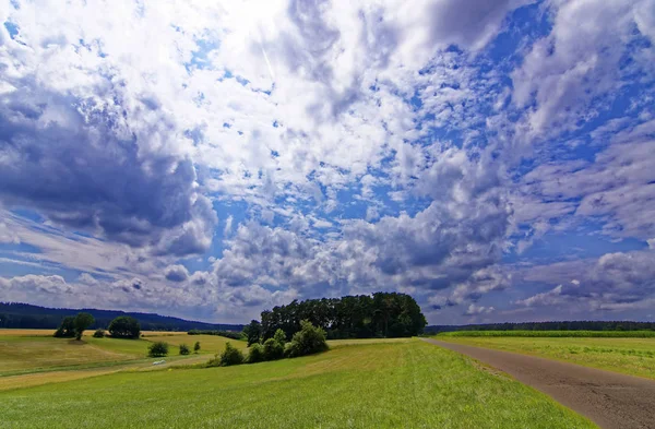 美丽的天空 森林附近的田野上有云 — 图库照片
