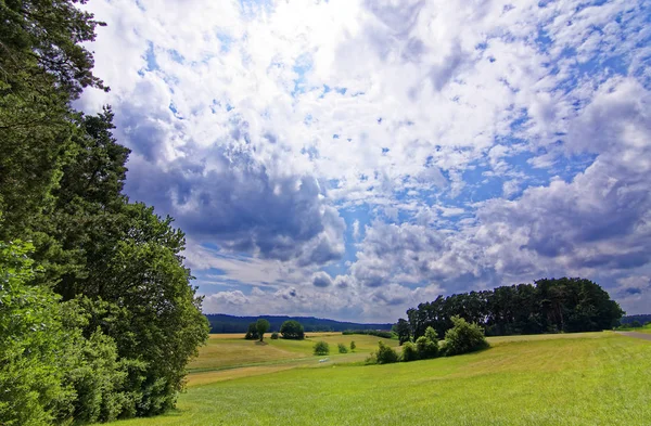 Gyönyörű Eget Felhők Felett Területen Erdő Közelében — Stock Fotó