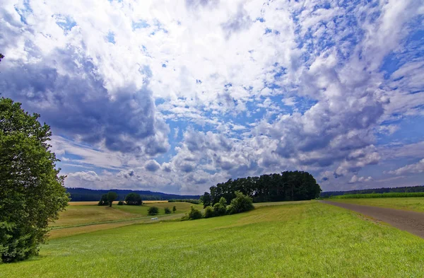 美丽的天空 森林附近的田野上有云 — 图库照片