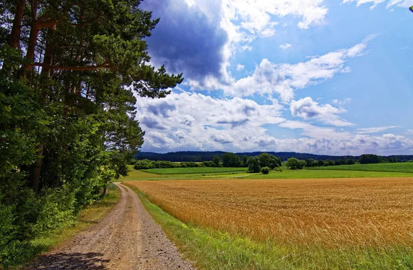 Beautiful Sky Clouds Field Forest Royalty Free Stock Photos