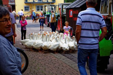 Almanya. Bavyera. Mitteleschenbach Ansbach District - 22 Temmuz 2018: yıllık hasat festivali Mitteleschenbacher Ganswosnfest. Nadir ekipman tanıtımı: traktörler, arabalar ve motosikletler 