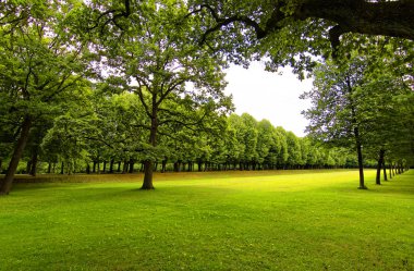 Ansbach şehrinin eski parkında güzel manzaralar