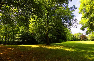 Ansbach şehrinin eski parkında güzel manzaralar