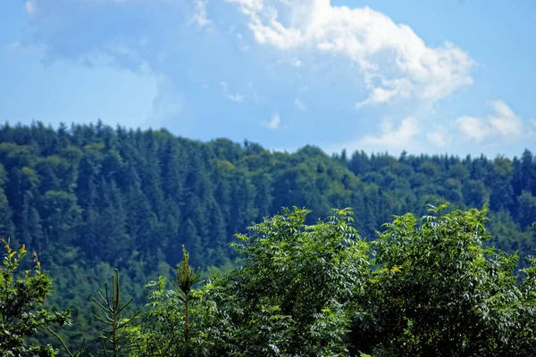 Bavyera Nın Güzel Unutulmaz Manzarası Almanya Ormanları Kaplayan Bulutlu Gökyüzü — Stok fotoğraf