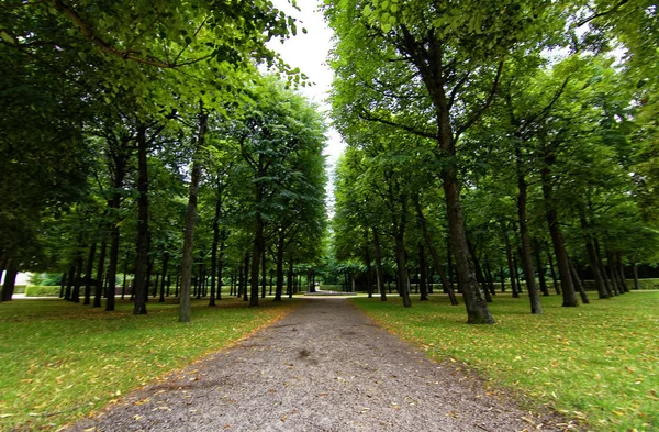 Belas Paisagens Antigo Parque Cidade Ansbach — Fotografia de Stock