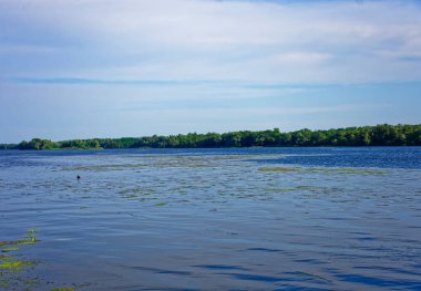 Savaştan önce Khorytsia Ukrayna adasında sıcak bir gün.