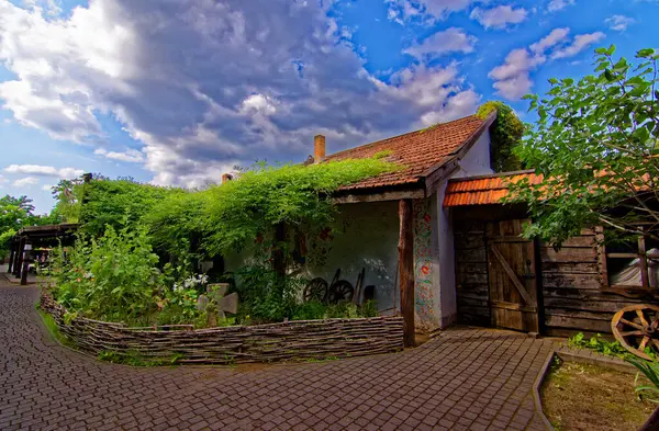 Teplý Den Ostrově Khortytsia Ukrajina Před Válkou — Stock fotografie