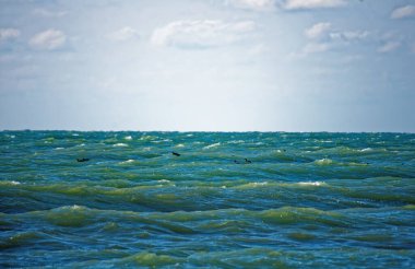 Sabahın köründe güzel bir deniz