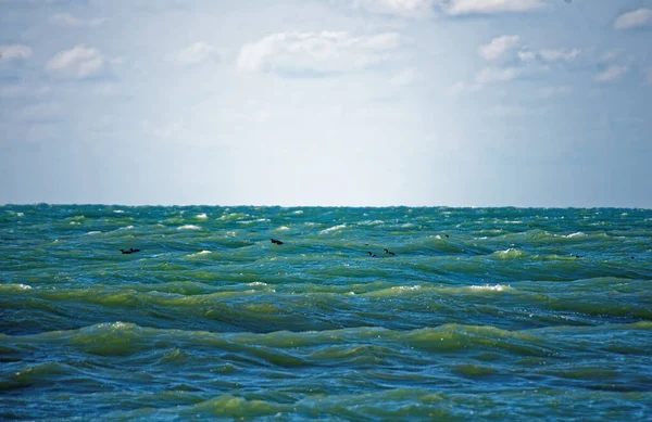 Piękne Morze Wczesnym Rankiem Zdjęcia Stockowe bez tantiem