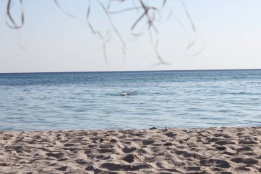 Milos island, Yunanistan yaz aylarında kumsalda Firiplaka.