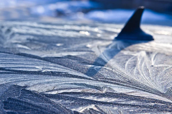 Blauton Bild Von Frostmustern Auf Einem Autodach Mit Radioantenne — Stockfoto