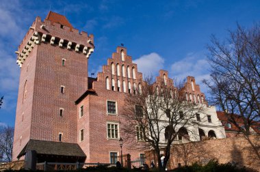 Poznan, Polonya, Royal Castle Simgesel Yapı (Zamek Krolewski)