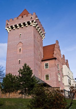 Poznan, Polonya, Royal Castle Simgesel Yapı (Zamek Krolewski)