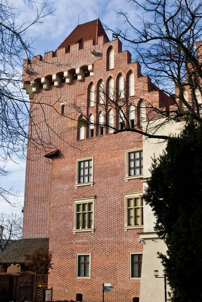 Poznań Landmark Royal Castle Zamek Krolewski — Zdjęcie stockowe