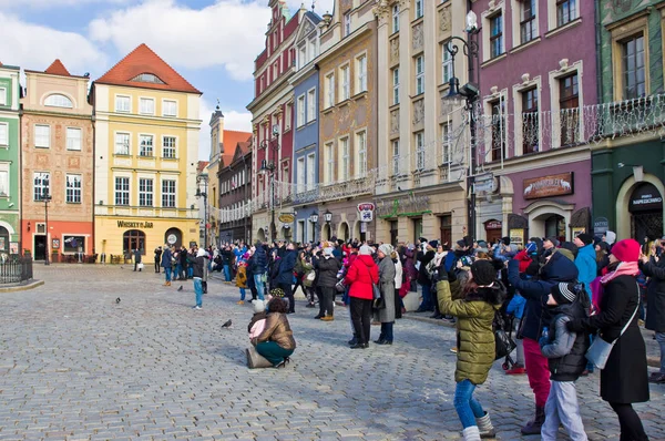 Poznan Polonia Febrero 2019 Multitud Turistas Admirando Plaza Del Casco — Foto de Stock