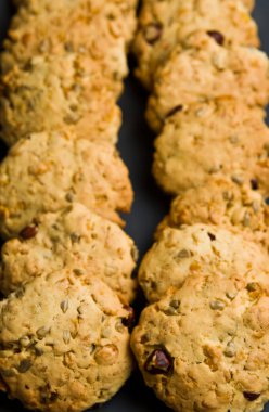 Sağlıklı ve besleyici ev yapımı kurabiye yapılmış un, tereyağı, ayçiçeği tohumu, kızılcık, Kuru üzüm ve fındık. Lezzetli diyet gıda.