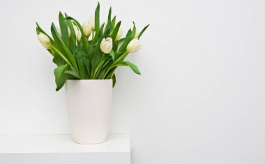 Beyaz raf ev dekorasyon taze laleler