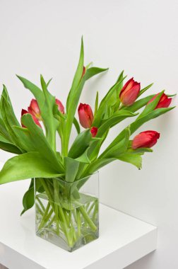 Beyaz raf ev dekorasyon taze laleler