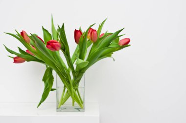 Beyaz raf ev dekorasyon taze laleler