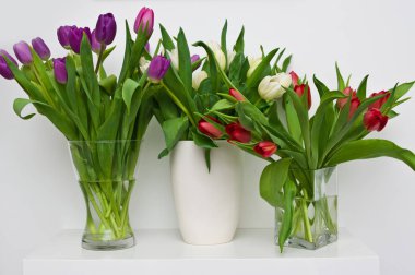 Beyaz raf ev dekorasyon taze laleler