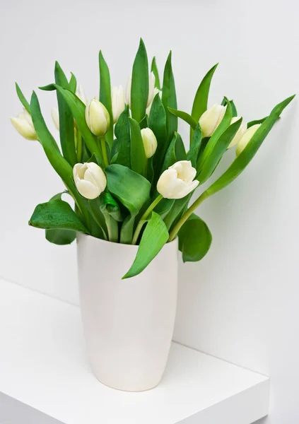 Friss tulipán a egy fehér polcon otthoni dekoráció — Stock Fotó
