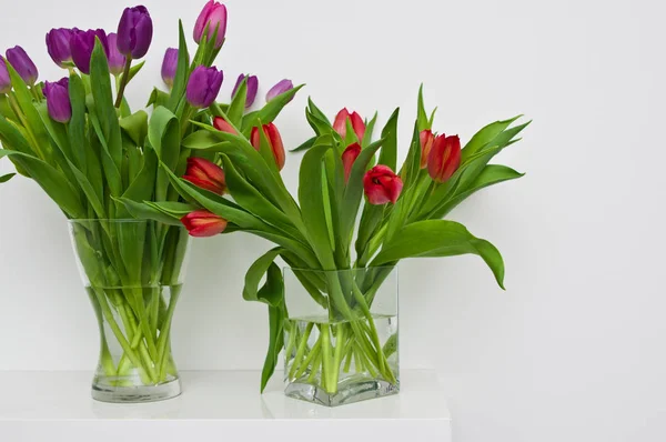 Fresh tulips on a white shelf home decoration — Stock Photo, Image