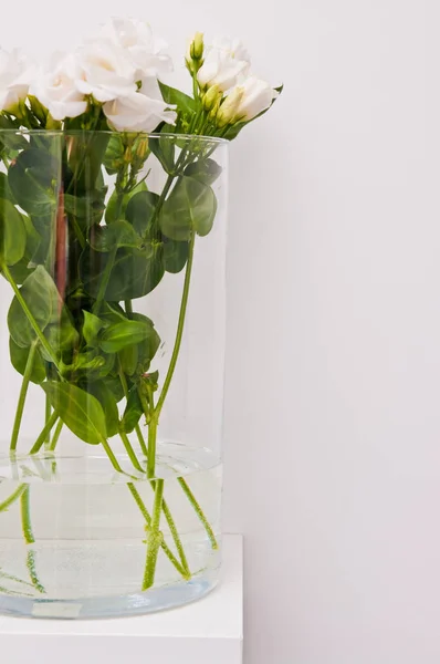 Flores de eustoma blanco en vidrio sobre fondo blanco —  Fotos de Stock
