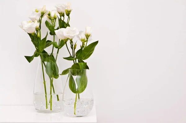 Vit eustoma blommor i glas på vit bakgrund — Stockfoto