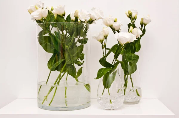Flores de eustoma blanco en vidrio sobre fondo blanco —  Fotos de Stock