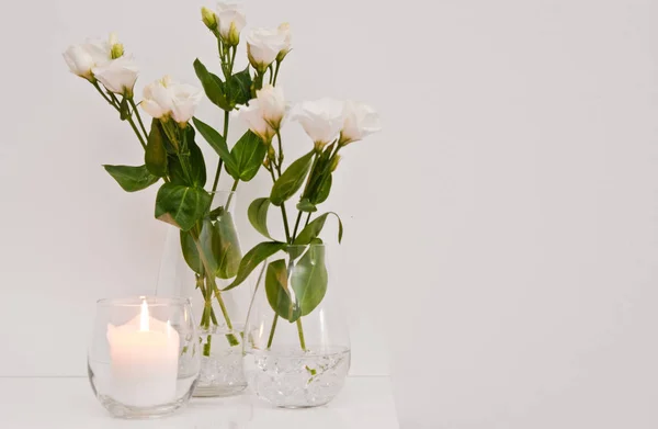 Білі квіти еустоми в склі на білому тлі — стокове фото