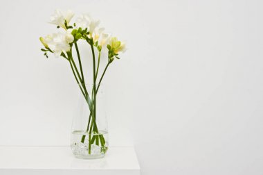 Cam vazonun üzerindeki beyaz çiçekler ev dekorasyonu.