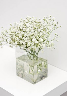 Cam vazonun üzerindeki beyaz çiçekler ev dekorasyonu.