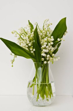 Cam vazonun üzerindeki beyaz çiçekler ev dekorasyonu.