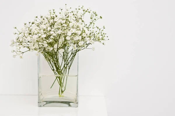 Vita blommor på glasvas heminredning. — Stockfoto