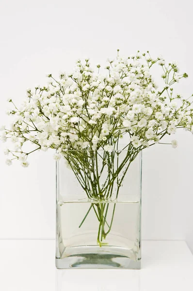 Flores blancas en florero de vidrio decoración casera . —  Fotos de Stock